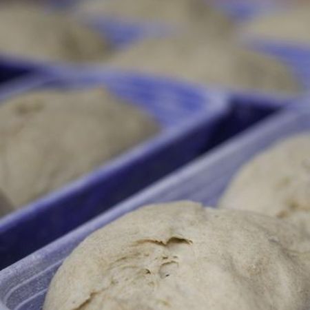 Unsere Backstube im Herzen Pfungstadts